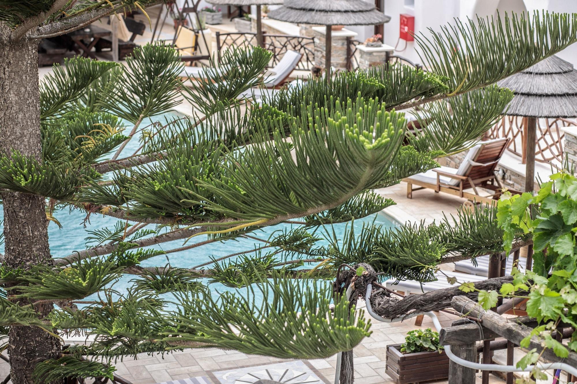 Anemomilos Beach Hotel Agia Anna  Exteriér fotografie