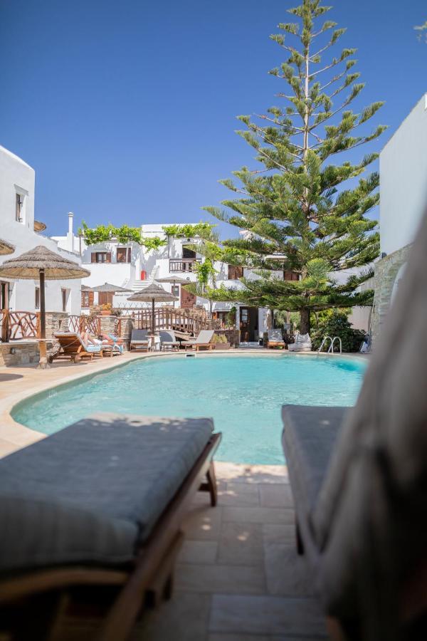 Anemomilos Beach Hotel Agia Anna  Exteriér fotografie