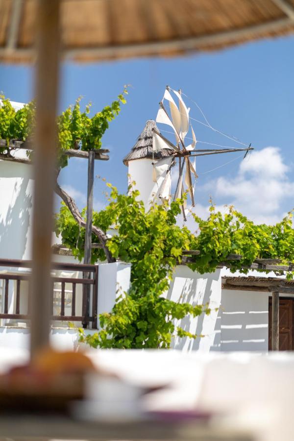 Anemomilos Beach Hotel Agia Anna  Exteriér fotografie