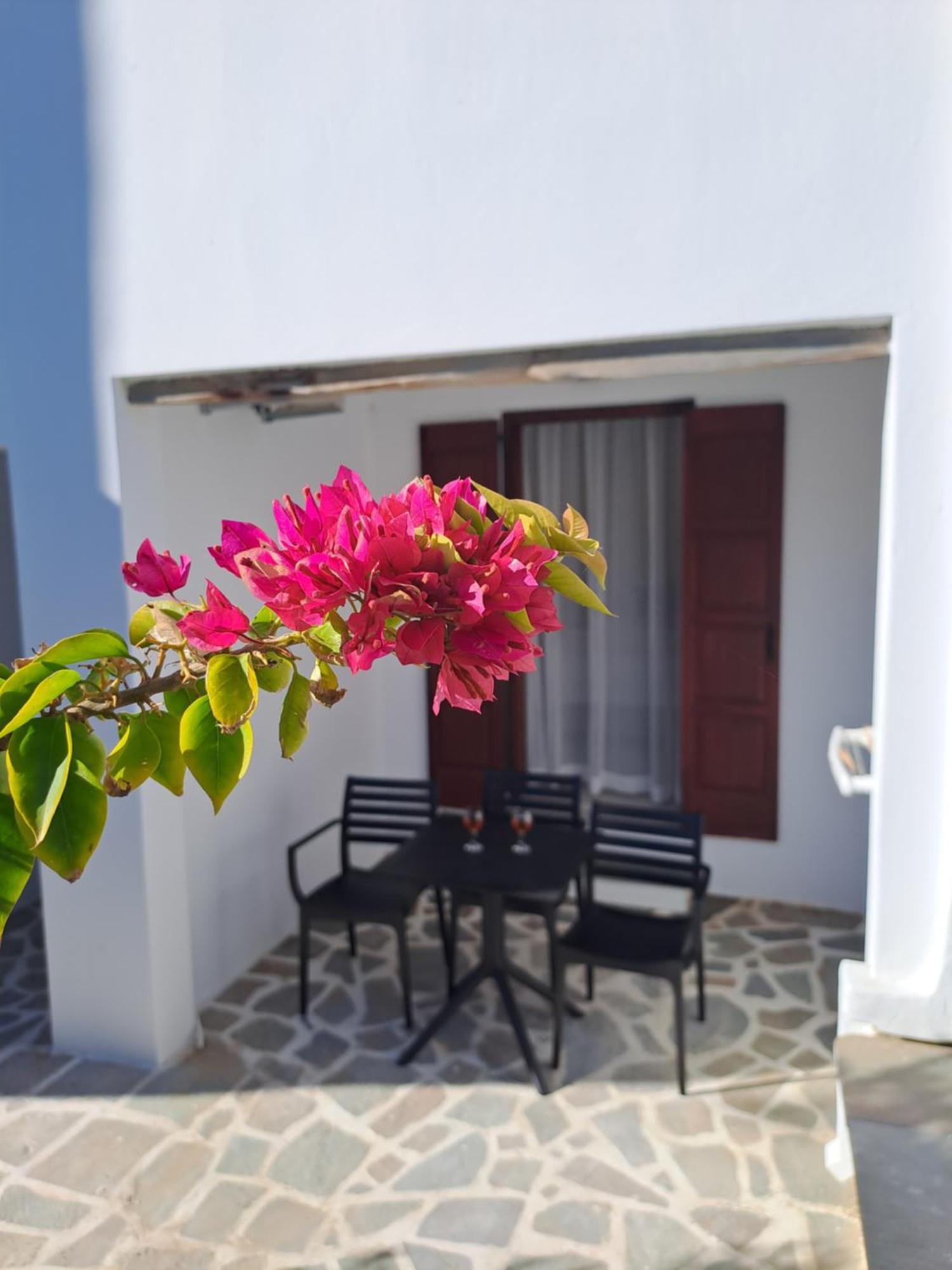 Anemomilos Beach Hotel Agia Anna  Exteriér fotografie